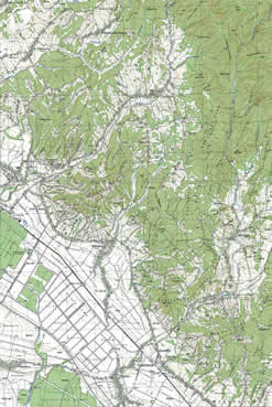 popovaca