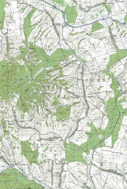 palesnik