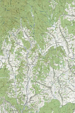 brnjani