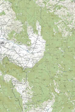 plasko polje