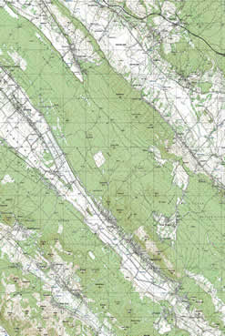 kolarina