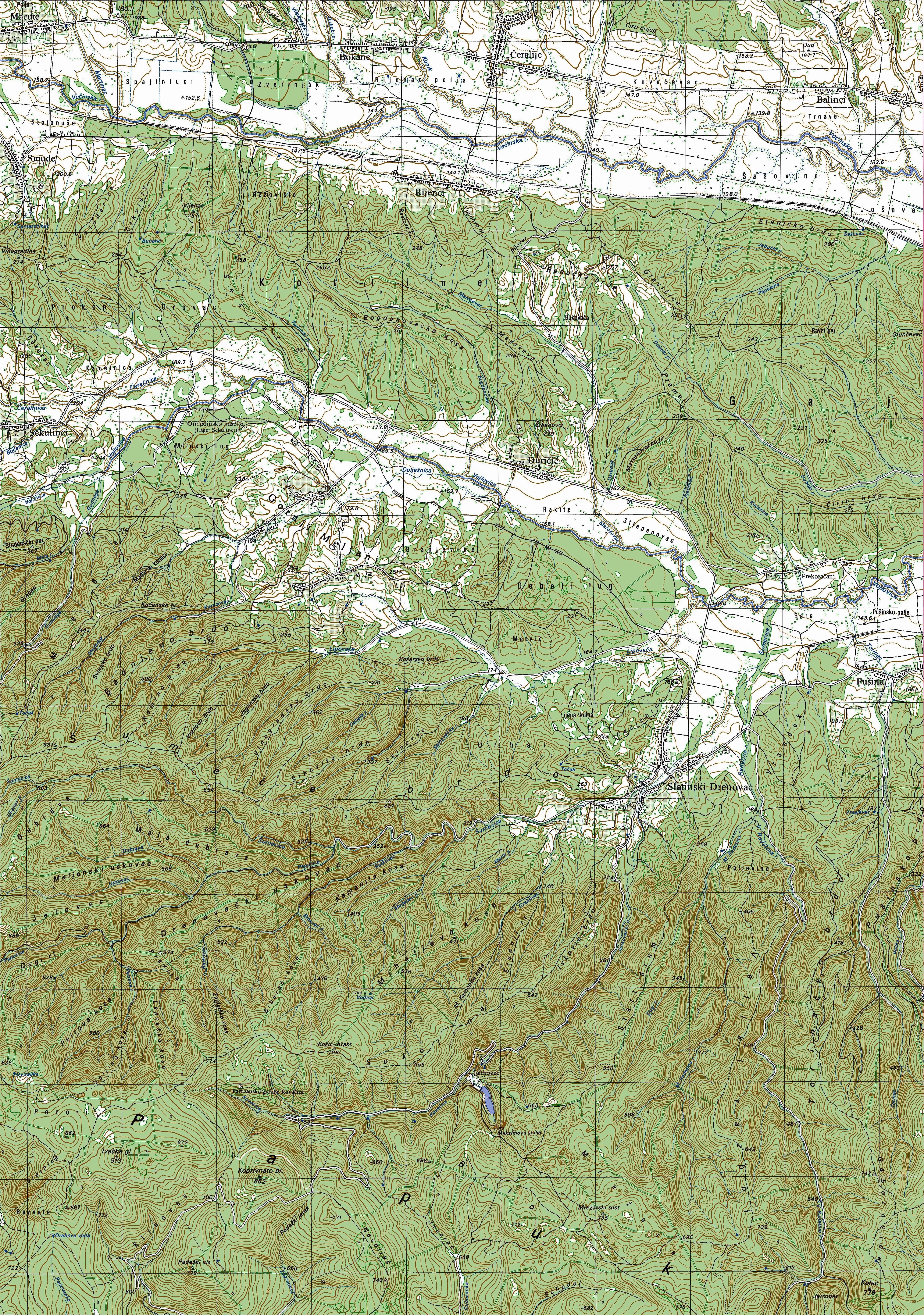 slatinski drenovac