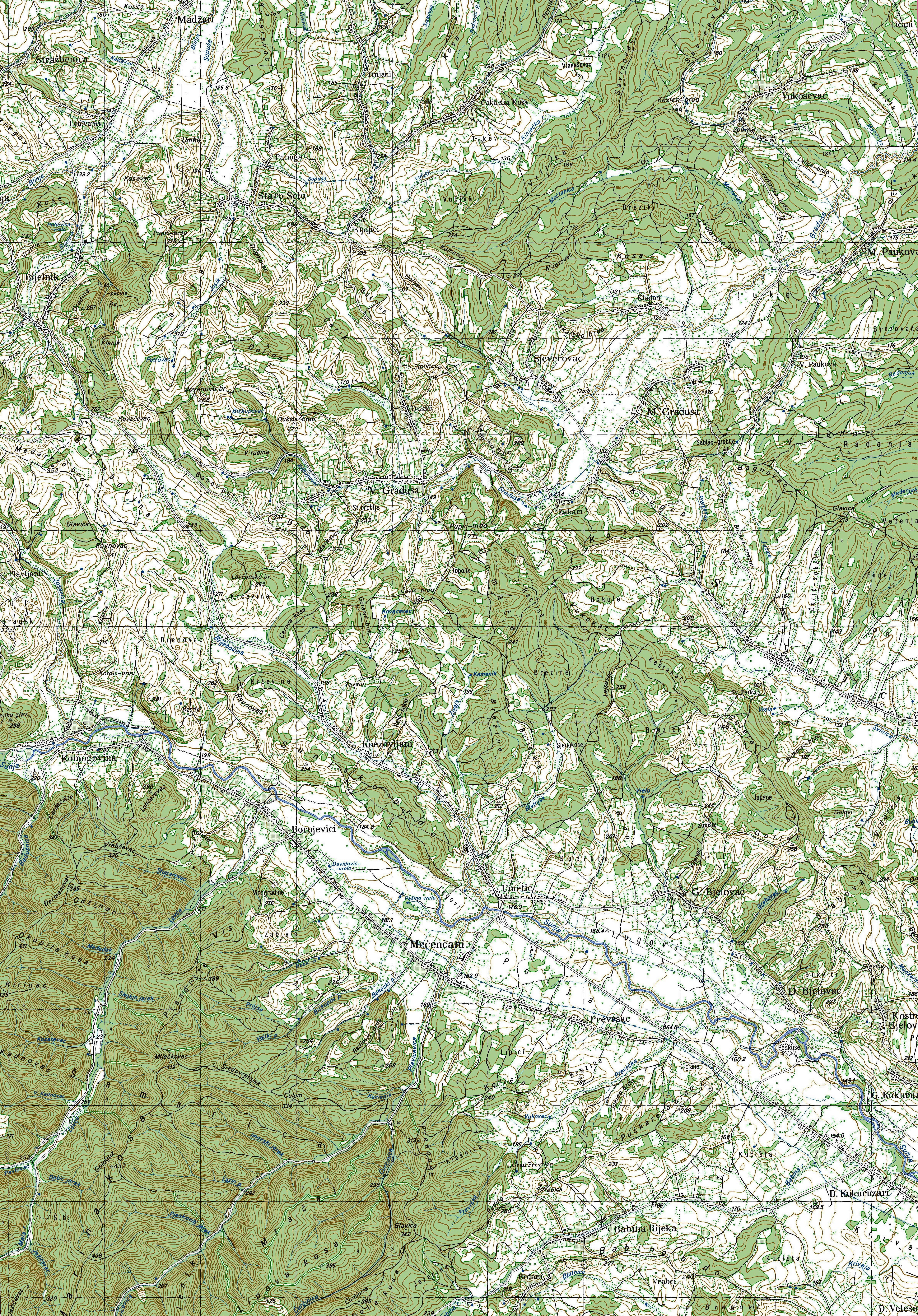 svinica