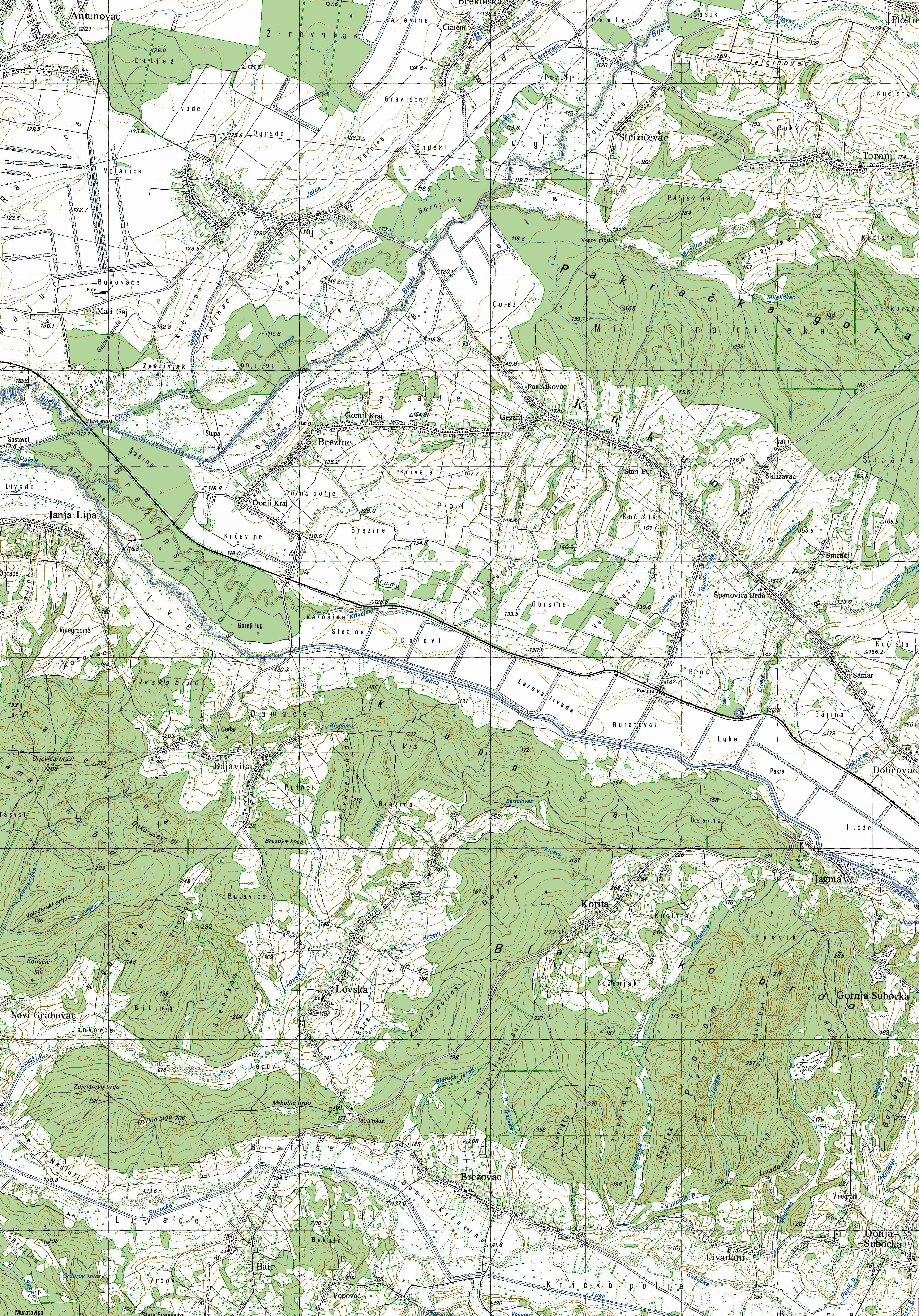 kukunjeva