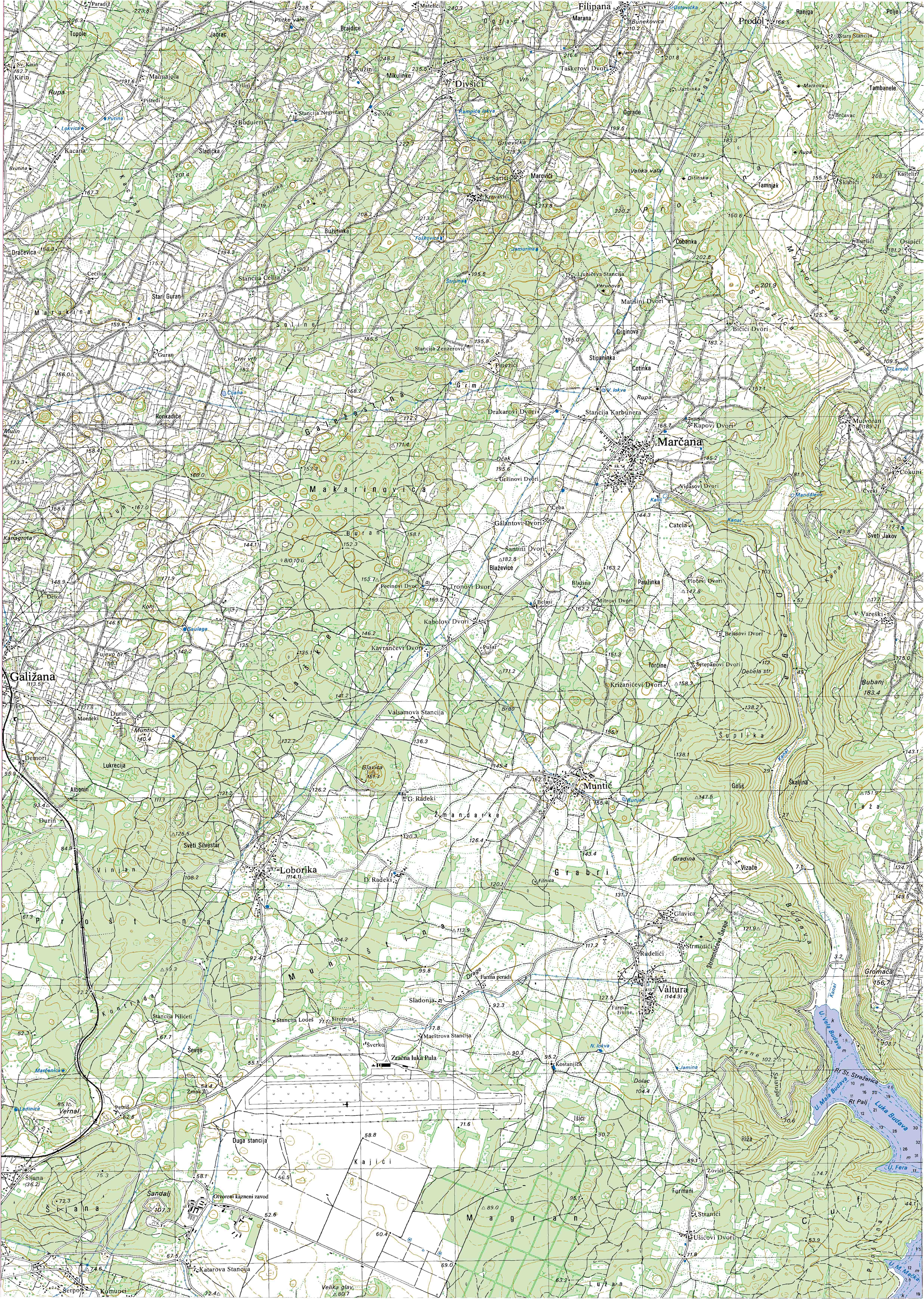 Galizana