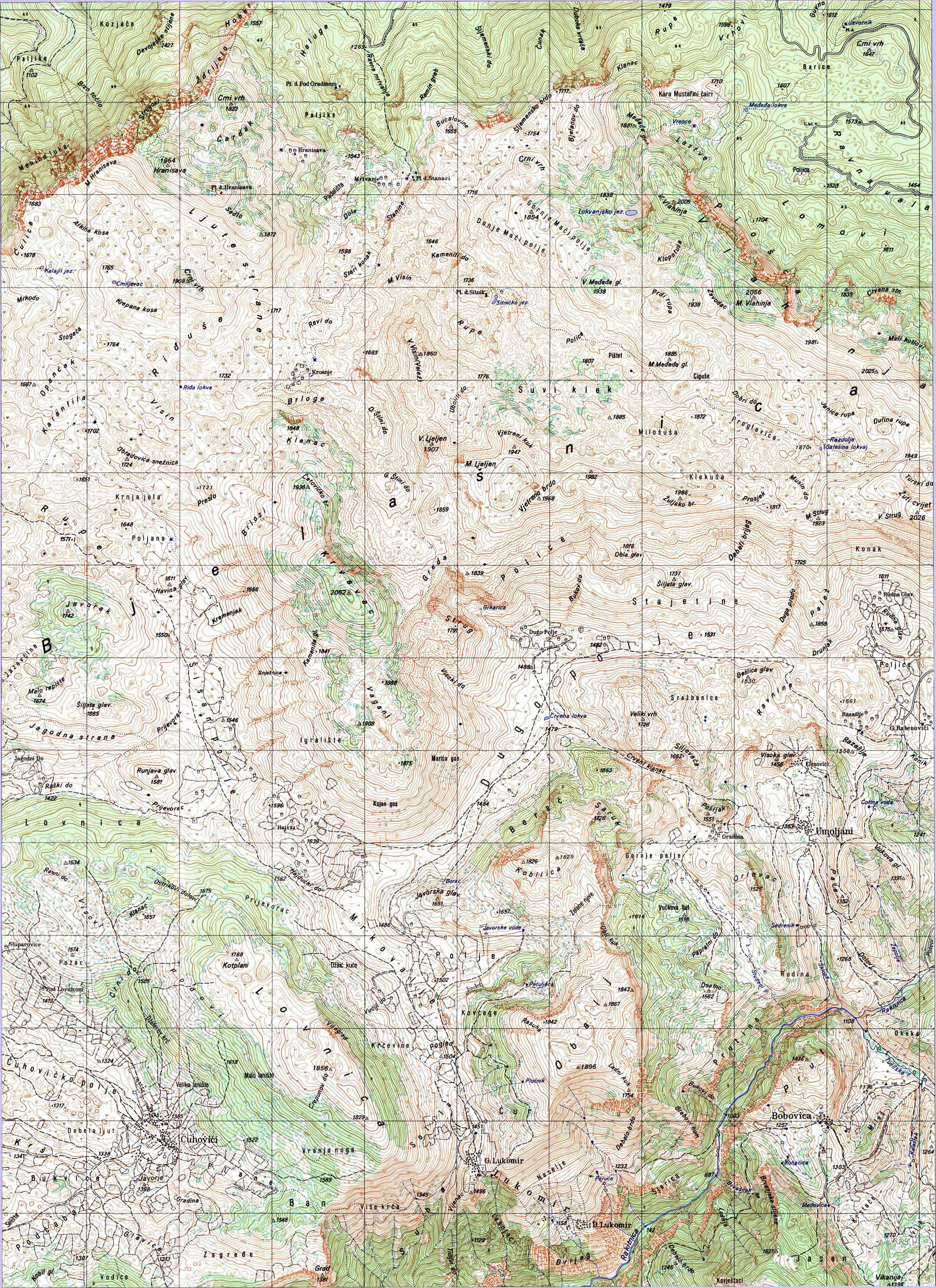 cuhovici