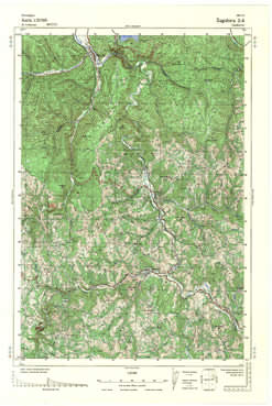 Topografske Karte  Srbije 1:25000 Zagubica