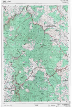 Dubica