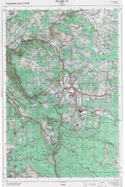 Dubica