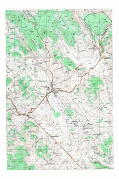 Dubica