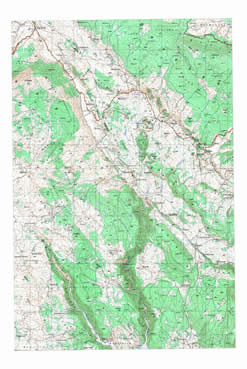 Dubica