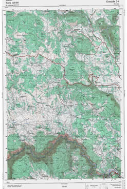 Dubica